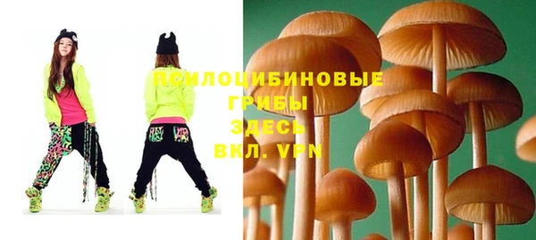 бутират Пересвет