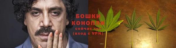 прущий лед Пестово