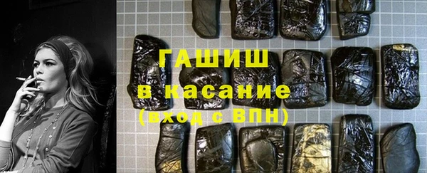 шишки Новодвинск