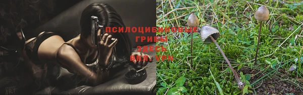 соль ск Нягань