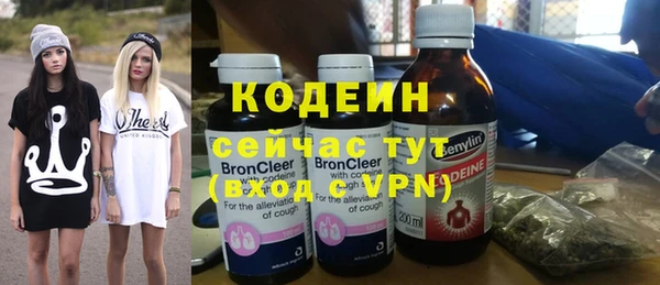 прущие грибы Няндома