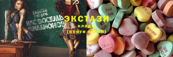 шишки Новодвинск